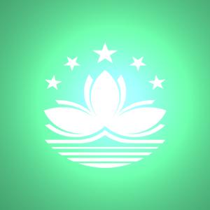 大陆到澳门物流,内地至澳门货运,物流到澳门,澳门专线物流